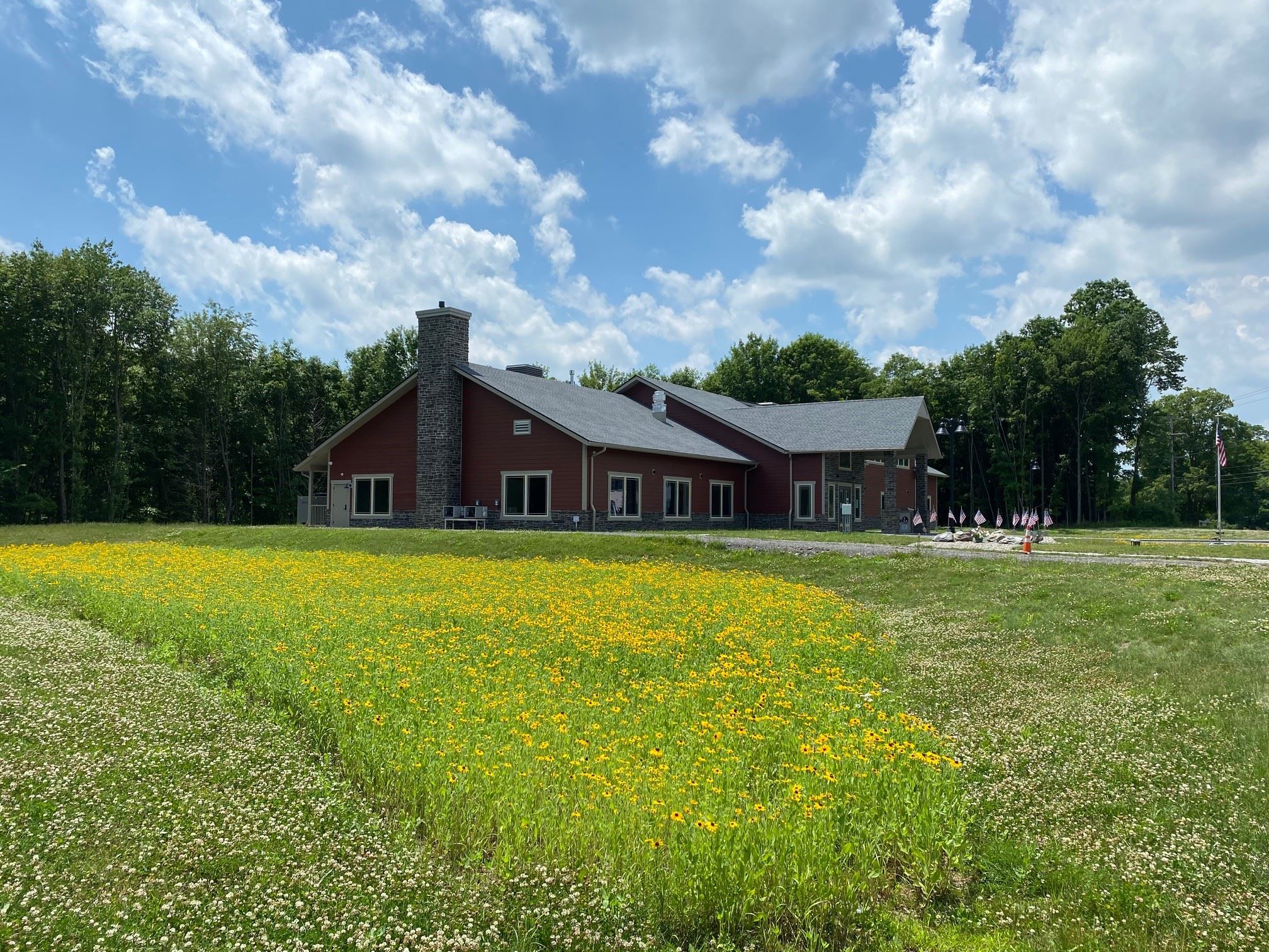 Green grass with a building in the background